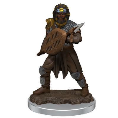 Dungeons & Dragons - Icons of the Realms Premium Male Human Fighter