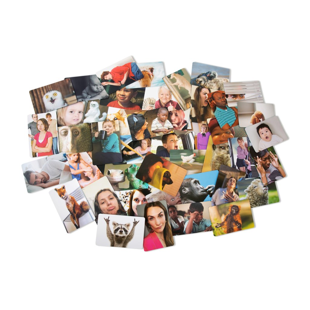 What Do You Meme? Family Edition